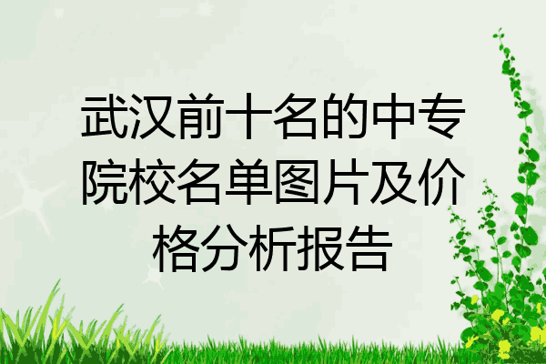 武汉前十名的中专院校名单图片及价格分析报告