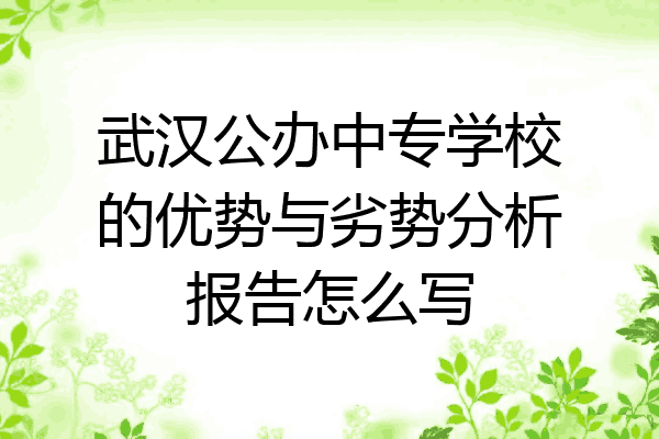 武汉公办中专学校的优势与劣势分析报告怎么写