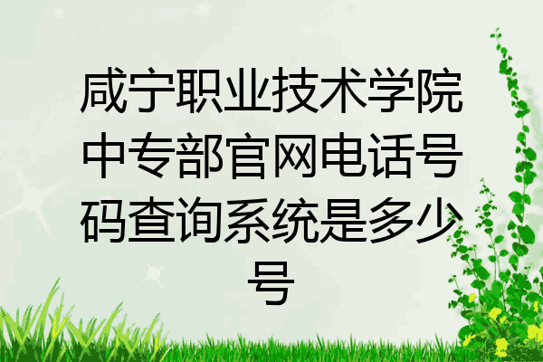 咸宁职业技术学院中专部官网电话号码查询系统是多少号