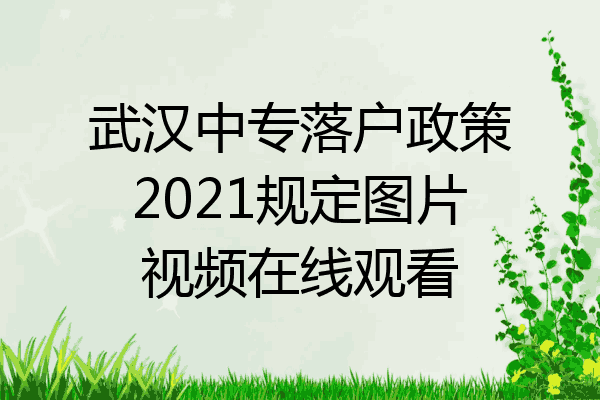 武汉中专落户政策2021规定图片视频在线观看