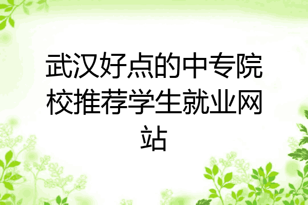 武汉好点的中专院校推荐学生就业网站
