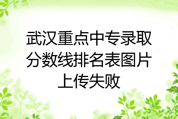 武汉重点中专录取分数线排名表图片上传失败