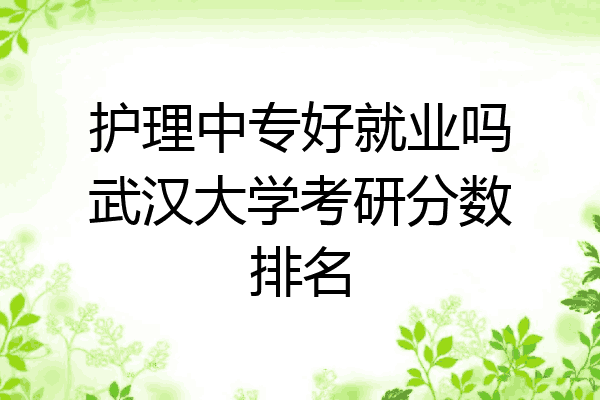 护理中专好就业吗武汉大学考研分数排名
