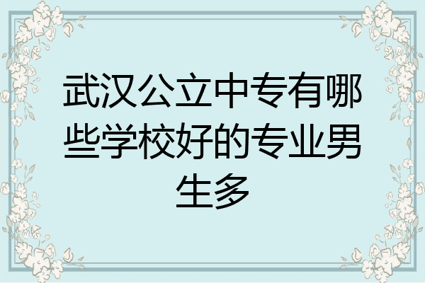 武汉公立中专有哪些学校好的专业男生多
