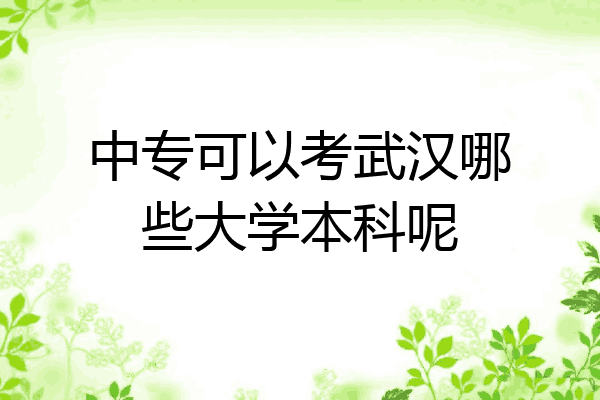 中专可以考武汉哪些大学本科呢