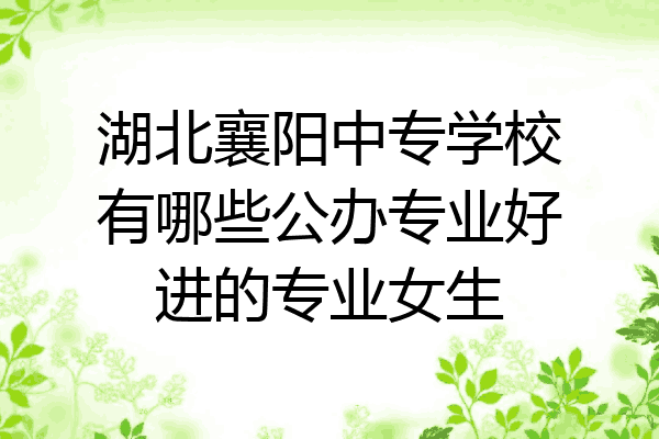 湖北襄阳中专学校有哪些公办专业好进的专业女生