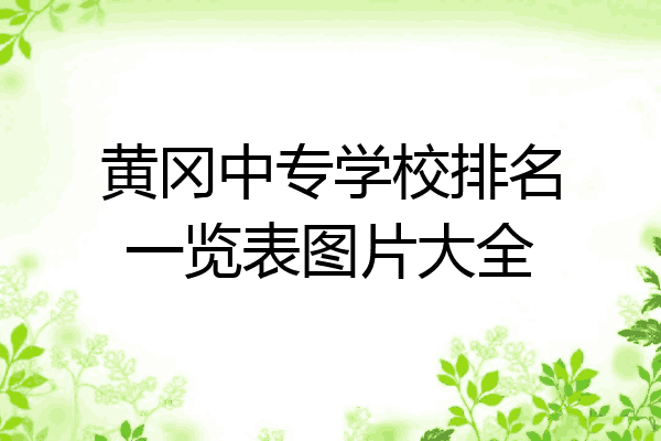 黄冈中专学校排名一览表图片大全