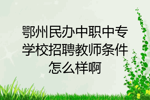 鄂州民办中职中专学校招聘教师条件怎么样啊