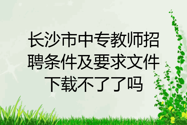 长沙市中专教师招聘条件及要求文件下载不了了吗