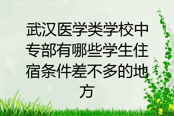 武汉医学类学校中专部有哪些学生住宿条件差不多的地方