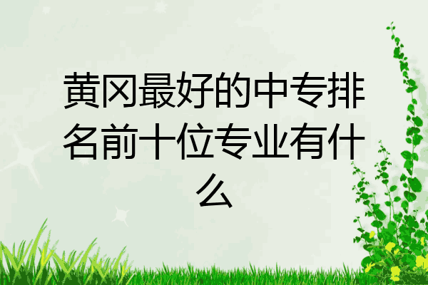 黄冈最好的中专排名前十位专业有什么