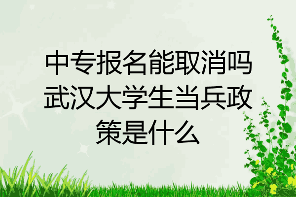 中专报名能取消吗武汉大学生当兵政策是什么
