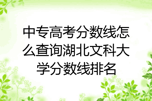 中专高考分数线怎么查询湖北文科大学分数线排名