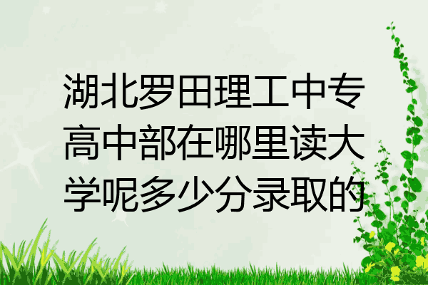 湖北罗田理工中专高中部在哪里读大学呢多少分录取的