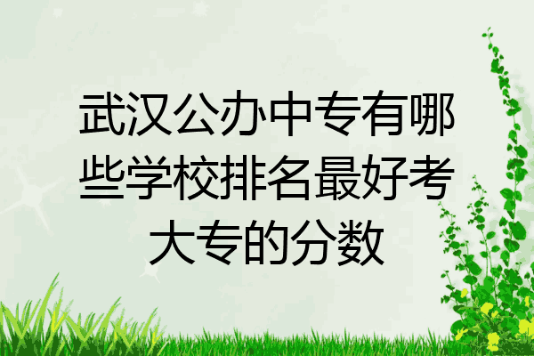 武汉公办中专有哪些学校排名最好考大专的分数