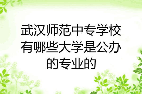 武汉师范中专学校有哪些大学是公办的专业的