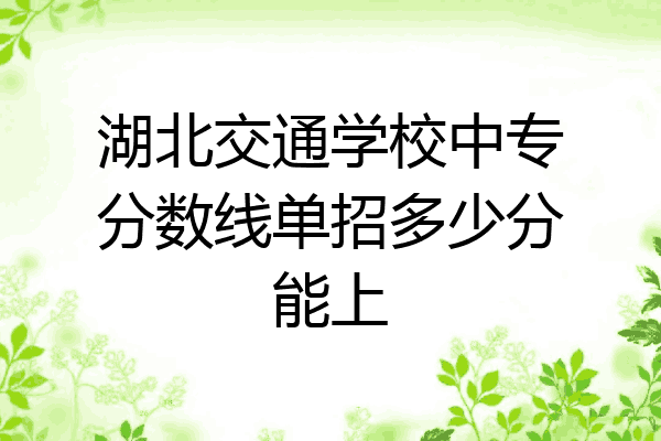 湖北交通学校中专分数线单招多少分能上