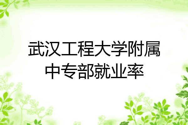 武汉工程大学附属中专部就业率