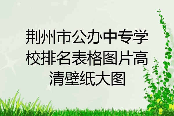 荆州市公办中专学校排名表格图片高清壁纸大图