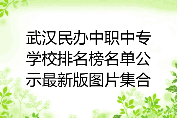 武汉民办中职中专学校排名榜名单公示最新版图片集合