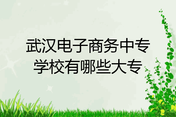 武汉电子商务中专学校有哪些大专