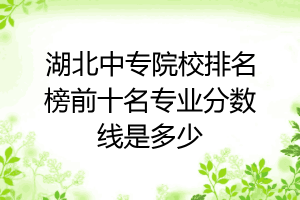 湖北中专院校排名榜前十名专业分数线是多少