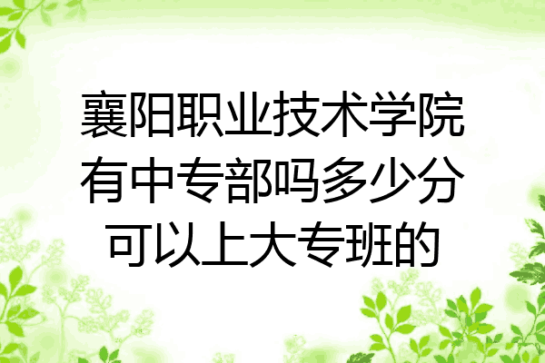 襄阳职业技术学院有中专部吗多少分可以上大专班的