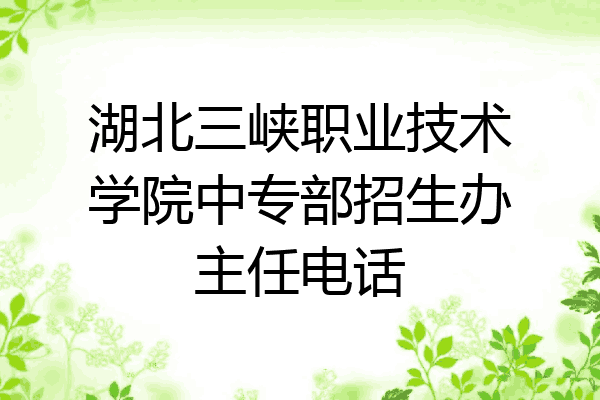湖北三峡职业技术学院中专部招生办主任电话