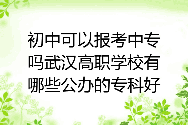 初中可以报考中专吗武汉高职学校有哪些公办的专科好