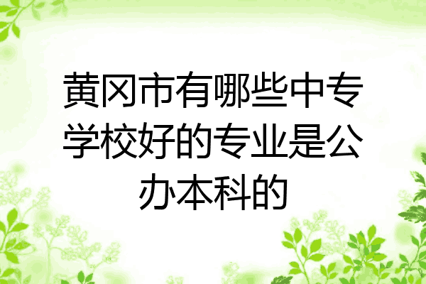 黄冈市有哪些中专学校好的专业是公办本科的