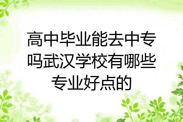 高中毕业能去中专吗武汉学校有哪些专业好点的