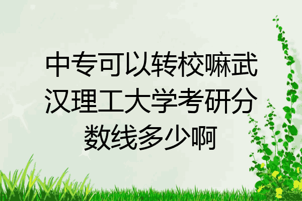 中专可以转校嘛武汉理工大学考研分数线多少啊