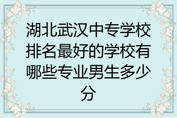 湖北武汉中专学校排名最好的学校有哪些专业男生多少分