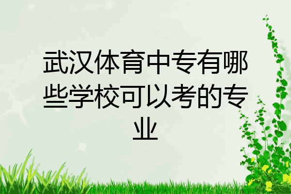武汉体育中专有哪些学校可以考的专业