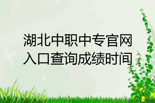 湖北中职中专官网入口查询成绩时间