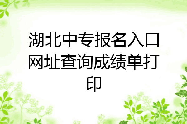 湖北中专报名入口网址查询成绩单打印