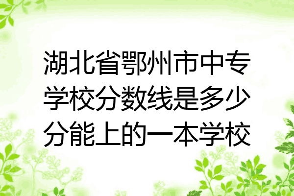 湖北省鄂州市中专学校分数线是多少分能上的一本学校