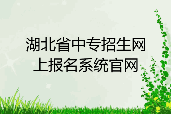 湖北省中专招生网上报名系统官网