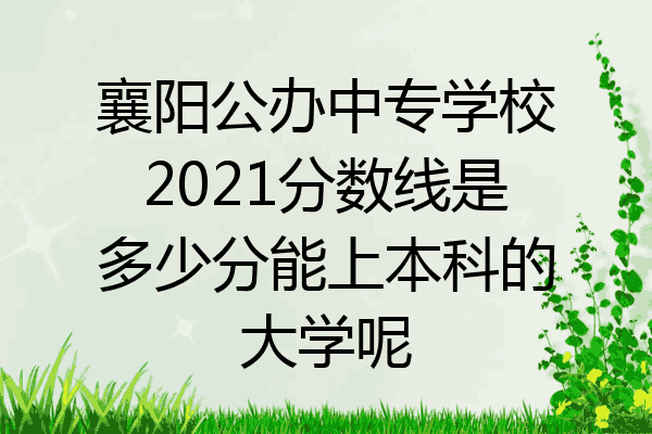 襄阳公办中专学校2021分数线是多少分能上本科的大学呢