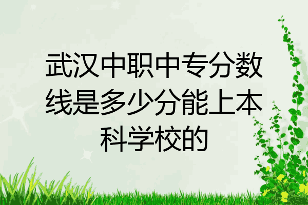 武汉中职中专分数线是多少分能上本科学校的