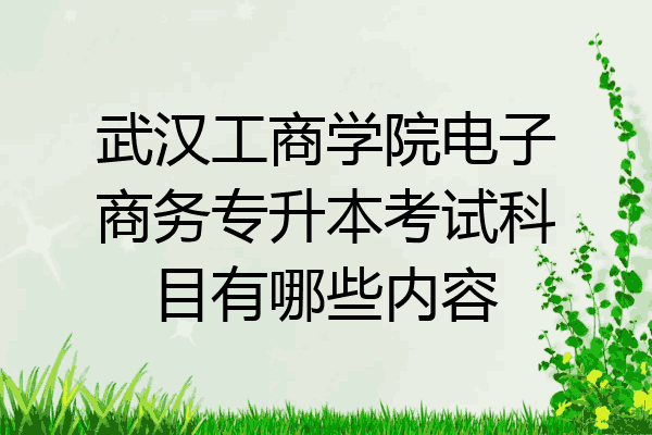 武汉工商学院电子商务专升本考试科目有哪些内容