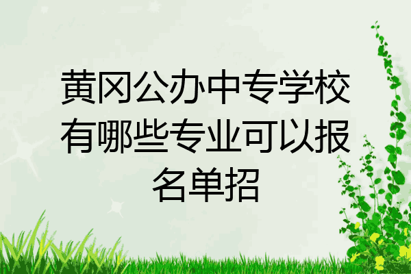 黄冈公办中专学校有哪些专业可以报名单招