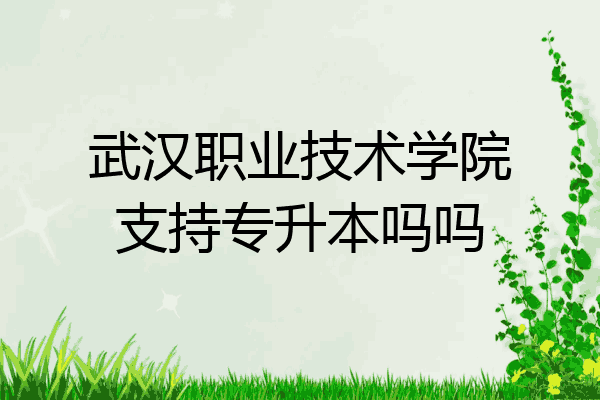 武汉职业技术学院支持专升本吗吗