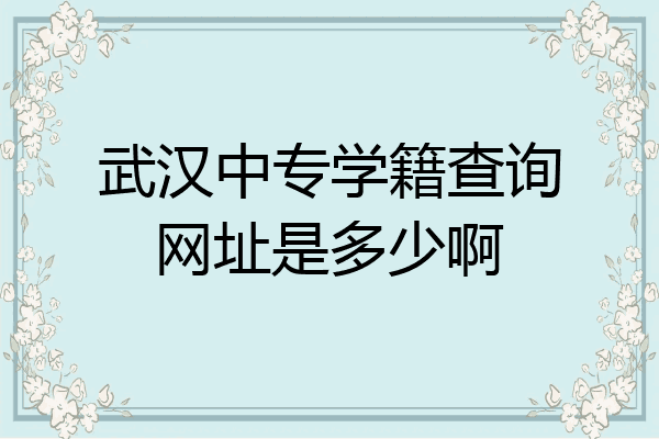 武汉中专学籍查询网址是多少啊