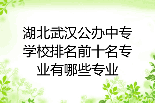 湖北武汉公办中专学校排名前十名专业有哪些专业
