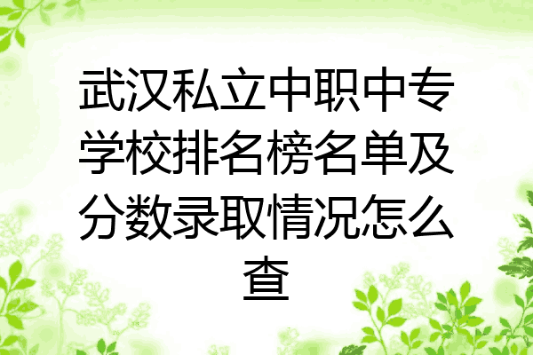 武汉私立中职中专学校排名榜名单及分数录取情况怎么查