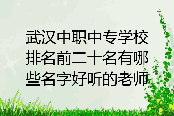 武汉中职中专学校排名前二十名有哪些名字好听的老师