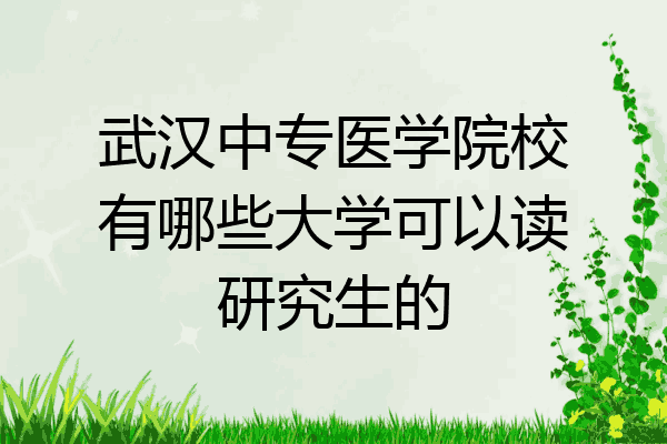 武汉中专医学院校有哪些大学可以读研究生的