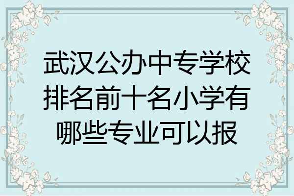 武汉公办中专学校排名前十名小学有哪些专业可以报