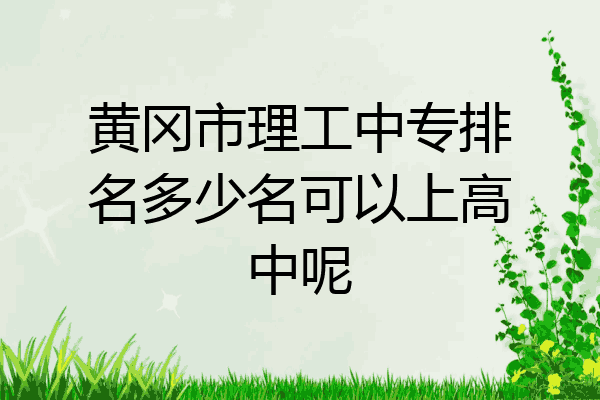 黄冈市理工中专排名多少名可以上高中呢